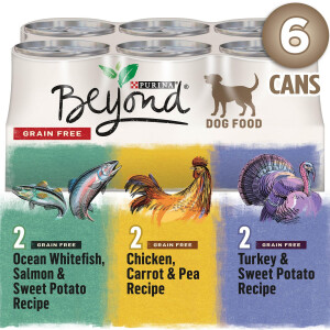 Beyond Grain Free Ground Entrée, Natural Wet Dog Food Variety Pack