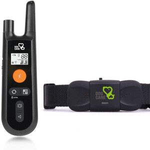Dog Training Collar