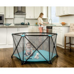 Play Yard Indoor and Outdoor