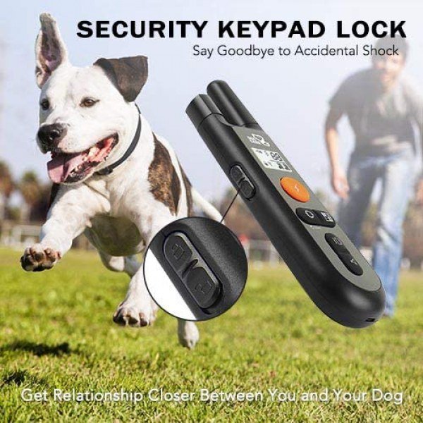 Dog Training Collar - Image 3