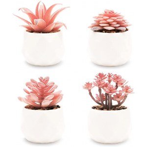 VIVERIE Faux Succulents in White Ceramic Pots (Set of 4) - Mini Life-Like Artificial Succulent Plants for Office Desk, Home Shelves, and Other Decoration Spaces