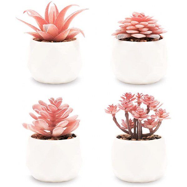 VIVERIE Faux Succulents in White Ceramic Pots (Set of 4) - Mini Life-Like Artificial Succulent Plants for Office Desk, Home Shelves, and Other Decoration Spaces