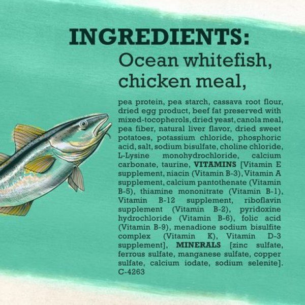 Beyond Grain Free Natural Dry Cat Food, Ocean Whitefish & Egg Recipe - Image 3