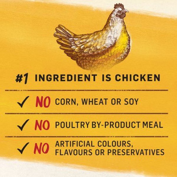 Beyond Simply 9 Natural Dry Dog Food, White Meat Chicken & Whole Barley - Image 3