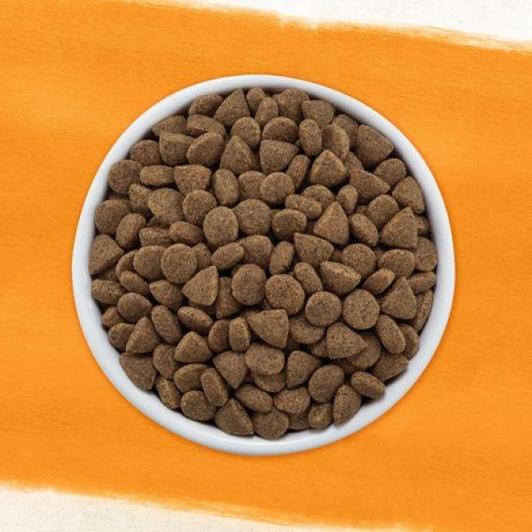 Beyond Grain Free Natural Dry Dog Food, White Meat Chicken & Egg - Image 3