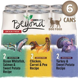 Beyond Grain Free Ground Entrée, Natural Wet Dog Food Variety Pack