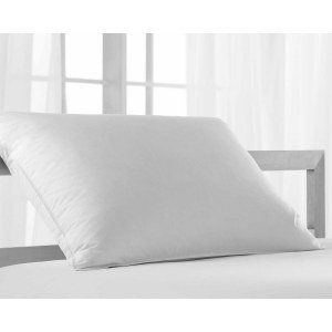 Mainstays Extra Firm Pillow
