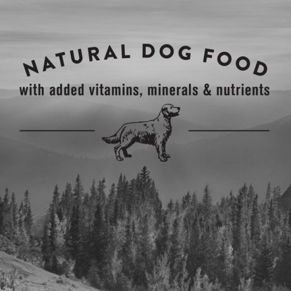 Nature's Recipe Adult Grain Free Chicken, Sweet Potato & Pumpkin Recipe Dog Food 5.4kg - Image 2