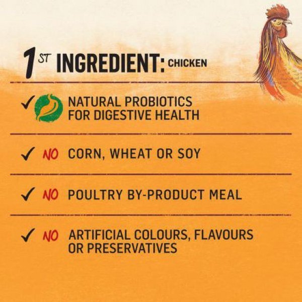Beyond Grain Free Dry Dog Food, White Meat Chicken & Egg Recipe - Image 2