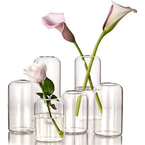 ZENS Bud Vases Glass Set, Clear Small Serene Spaces Living Vase Set of 6 for Centerpieces Home Decor, Modern Hand Blown Borosilicate Flowers Vases for Office or Wedding Events