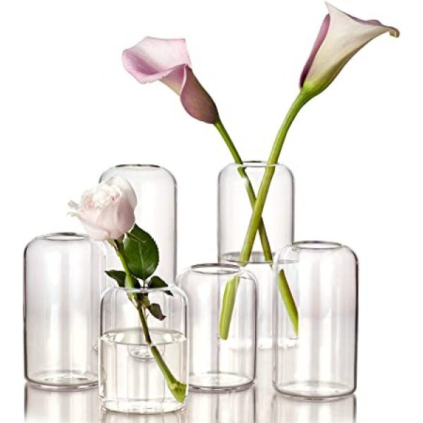 ZENS Bud Vases Glass Set, Clear Small Serene Spaces Living Vase Set of 6 for Centerpieces Home Decor, Modern Hand Blown Borosilicate Flowers Vases for Office or Wedding Events