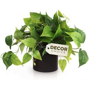Faux Plants Indoor, Artificial Plants for Home Decor Indoor, Pothos Small Fake Plants - Fake Plants Decor and Decorative Plants, Fake Plant and Artificial Plant for Indoor and Outdoor - Black Pot