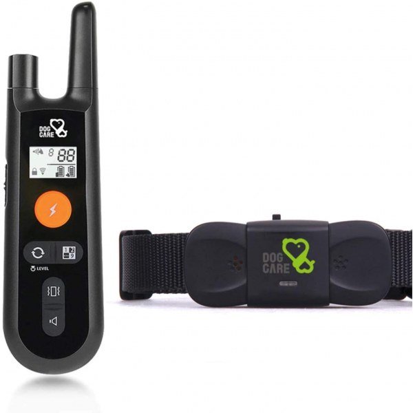 Dog Training Collar