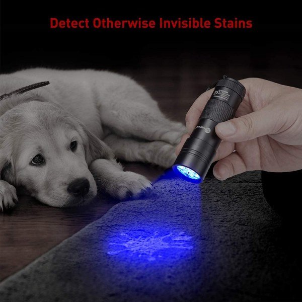 TaoTronics Black Light - Image 3