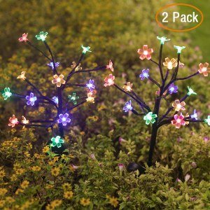 Powered Pathway Lights with Multi-Color