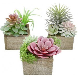 Mingfuxin Artificial Succulents Plants, Mini Assorted Green Faux Succulents in Pots, Small Succulents Plants Artificial with Wood Potted for Home Office Living Room Table Desk Plants Decor, Set of 3