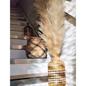 Mixgenix Dried Pampas Grass Tall | Chic Trendy Home Decor - Set x3 Large Pampas Grass Decor Tall 46 Inch | Soft Fluffy for Interior Decor Floor Vase