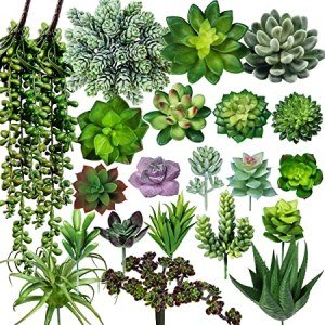 Winlyn 22 Pcs Bulk Artificial Succulents Plants Unpotted Small Aloe Hanging String of Pearls Cactus Green Fake Succulents for Succulent Garden Arrangement Centerpiece Wall Indoor Outdoor Home Decor