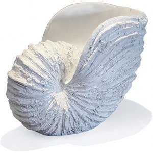 Nautilus Shell Sculpture - Replica Beach Themed Ocean Decor for Home - Rustic White Resin 10?" x 6" x 8" Crafted Coastal Seashell for Decorating Living Room Tables and Shelf Decor Gift-Boxed