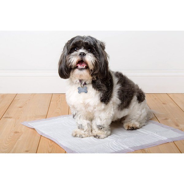 Hartz Home Protection Dog Pads - Image 3
